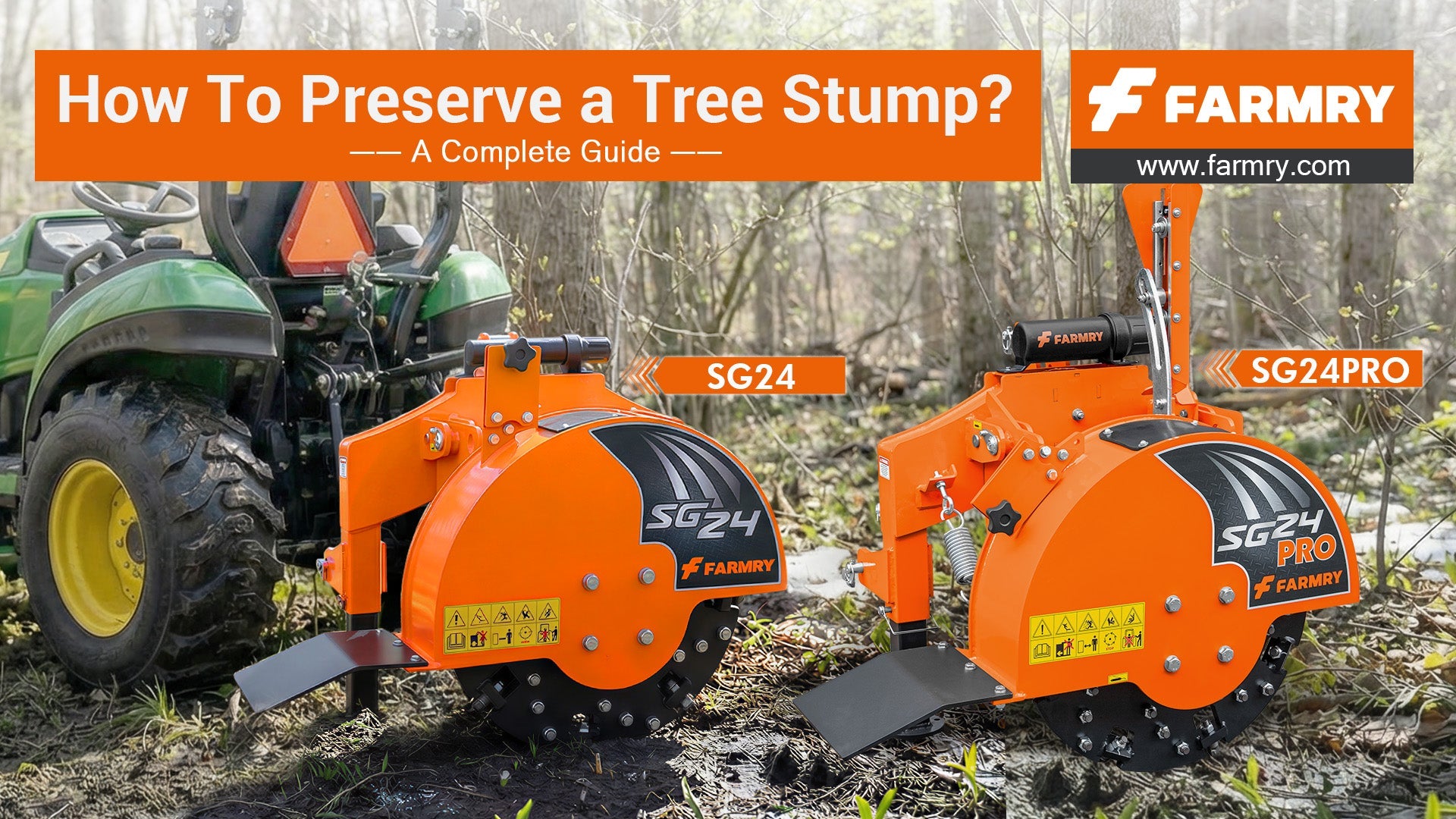 How To Preserve a Tree Stump? A Complete Guide