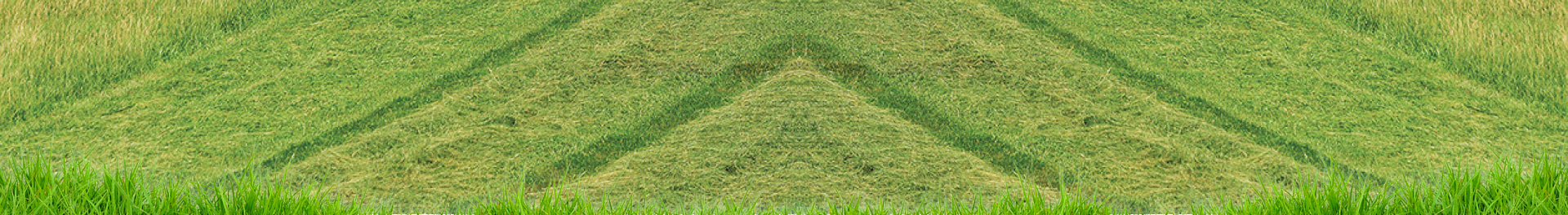 PTO Flail Mower