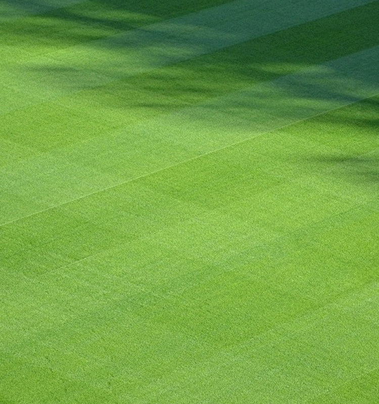 Remote Control Lawn Mowers & RC Mowers for Sale | Farmry