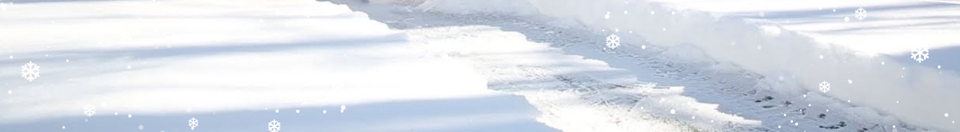 PTO Snow Blower